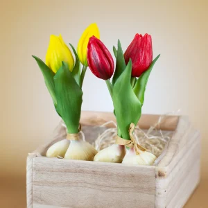 Seidenblumen Tulpen mit Zwiebeln | Hochwertige Kunstblumen in 2 Farben | 18 cm