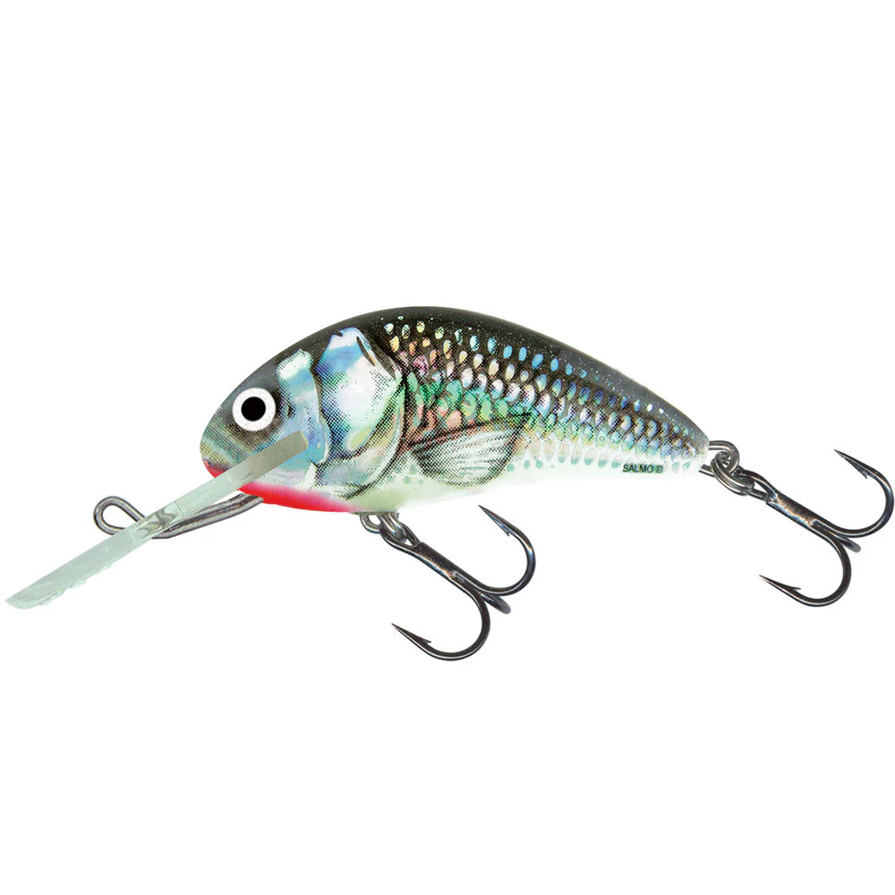 Hornet 5 cm (Sinking) – Bild 4